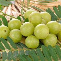 Amla - An Ancient Indian Super Berry